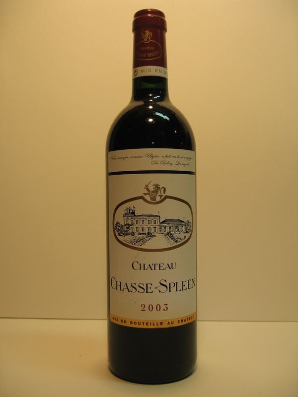 Château Chasse Spleen 2003